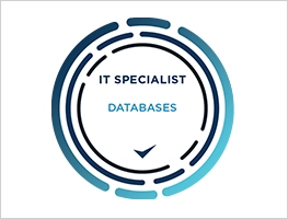 Badge ITS Databases