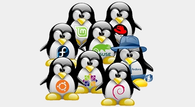 immagine linux distribuzioni