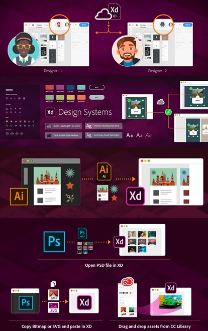 infografica Adobe XD