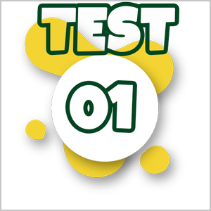 Test Excel Associate