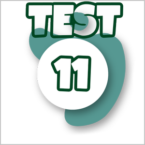 Test Excel Associate