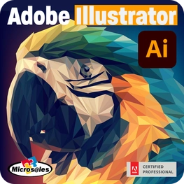 illustrator - slide 02