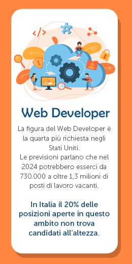 infografica web_developer